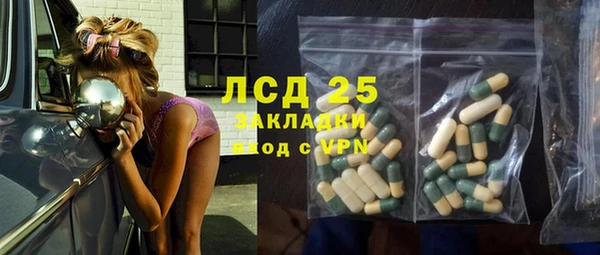 ECSTASY Алзамай